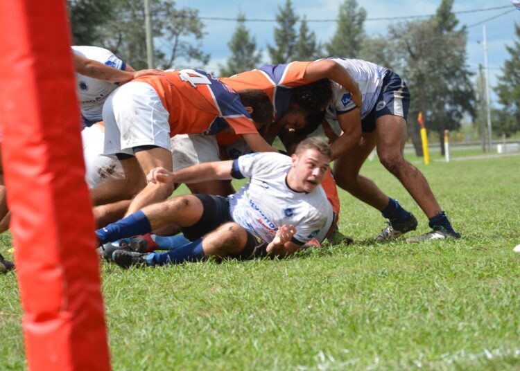 Amistosos de los juveniles de la Fusión