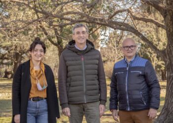 La creación del Consejo Municipal de Deporte, una propuesta promotora de salud y bienestar.