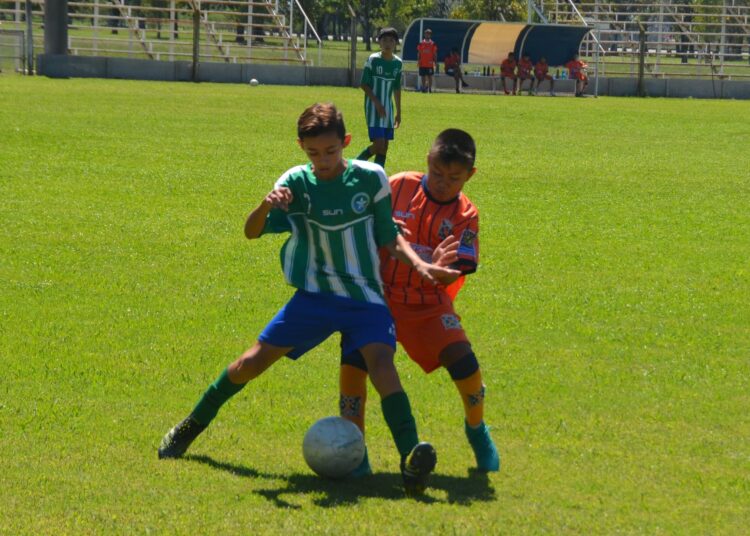 Comenzaron las divisiones Inferiores