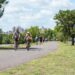 CALLE ACTIVA: UN PROGRAMA PARA HACER DEPORTES Y DISFRUTAR DE LA NATURALEZA