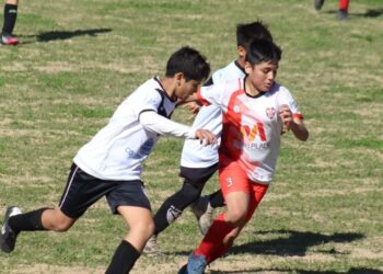 La programación de las inferiores de la Liga Nicoleña de Futbol