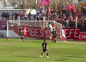 Defensores lo buscó, pero no lo encontró