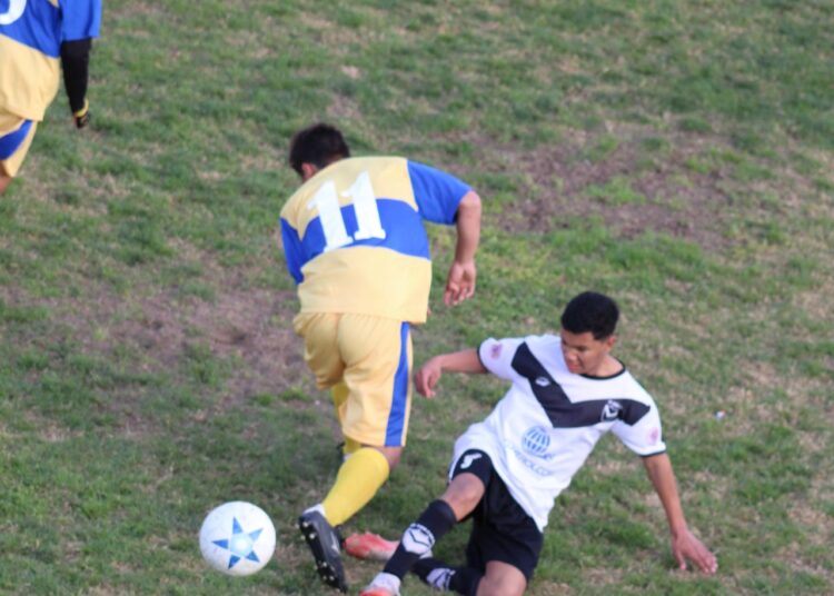 Las divisiones inferiores se ponen al dia y las Tablas de posiciones estan de la siguiente manera