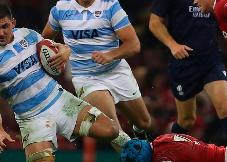 Los Pumas, en una decepcionante actuación, cayeron frente a Gales