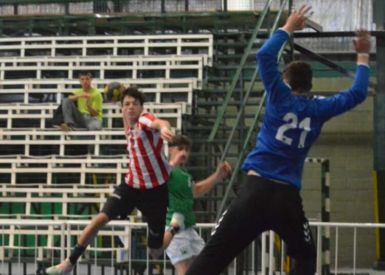 Handball, Joaquín Avendaño, de Somisa a La Plata