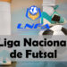 Gran Rey juega la LNFA de Futsal 2022