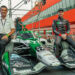 ¡Canapino correrá en Indycar con Juncos Hollinger Racing!