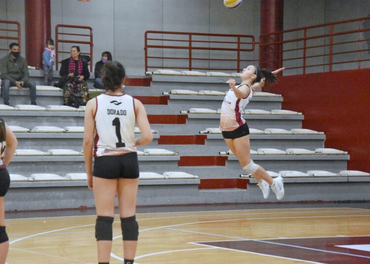 Comenzo la actividad oficial de la Asociacion Nicoleña de Voley (ANV)