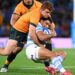 Rugby Championship: los Pumas derrotaron a Australia en la última jugada del partido
