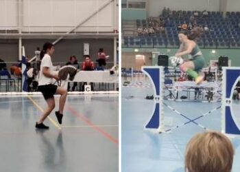 El detrás de escena de la “equitación vegana” que es furor en Internet