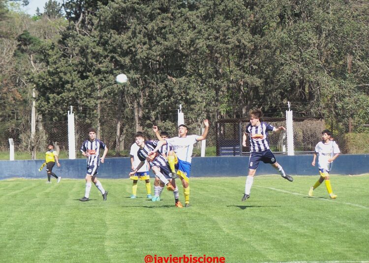 Asi estan las posiciones en las Zonas A, B y C de las Inferiores