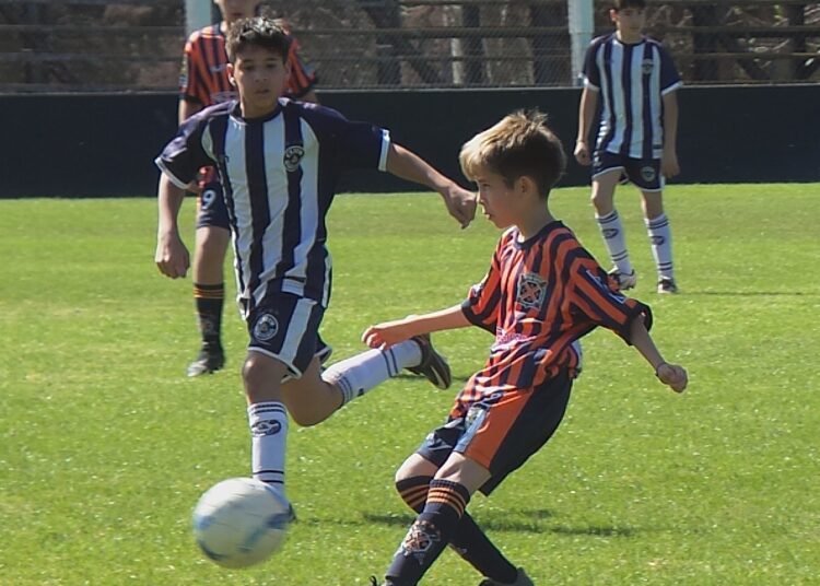 Los resultados de la tercera fecha del torneo Clausura de Inferiores