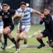 Los Pumas buscarán ante los All Blacks llegar a la final del Mundial de rugby, en vivo: hora, TV y formaciones