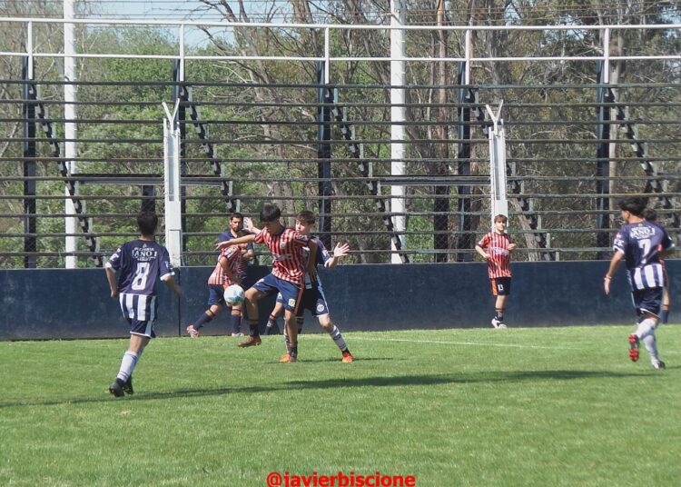 Se viene la cuarta fecha de Inferiores y asi estan la posiciones en las 3 zonas