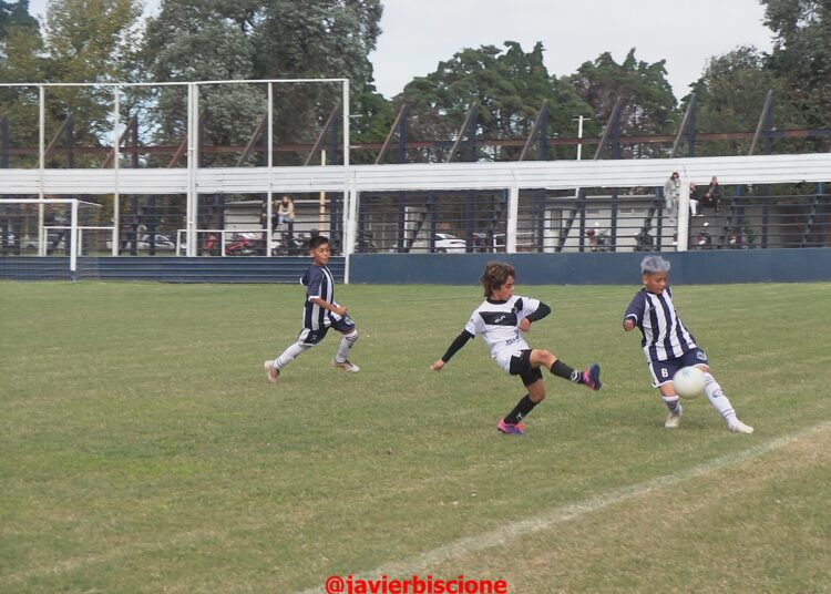 Los resultados de la septima fecha de inferiores