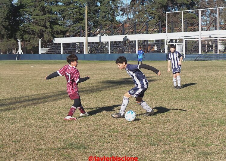 La acutalidad de las inferiores y la proxima fecha para ponerse al dia en las inferiores