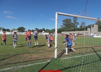 Inferiores tramo final y los resultados de la fecha y el Top Five en las 5 categorias