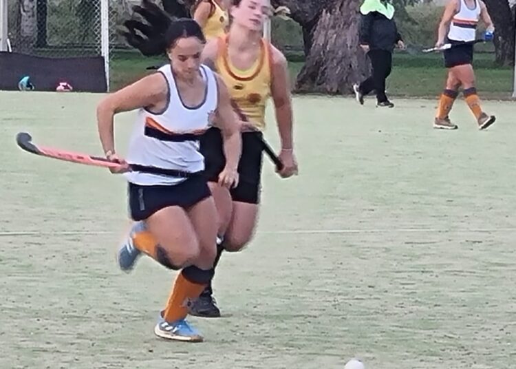 Regatas se quedó con el clásico de la AHL ante Belgrano