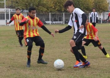 Inferiores: los resultados de la fecha 10 del Torneo Apertura