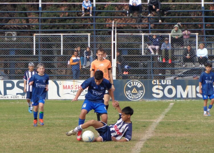 Inferiores: se jugó la fecha 14 y se afianzan los candidatos al título