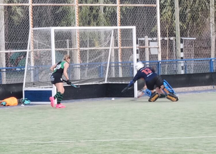 Jornada adversa para los equipos nicoleños en la AHL