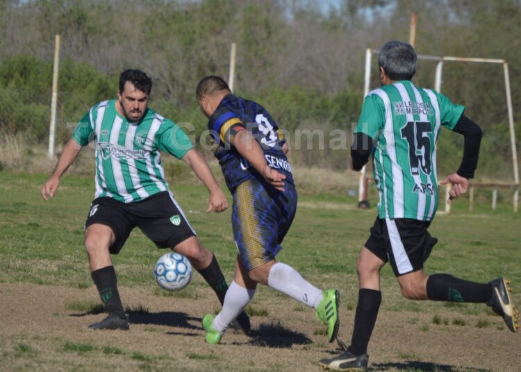 Resultados y posiciones del Torneo Clausura (+40 y +50)