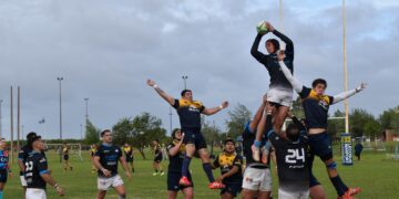 San Nicolás Rugby busca ratificar su crecimiento en Rosario