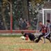 Se disputó la séptima fecha del fútbol de inferiores de la Liga Nicoleña