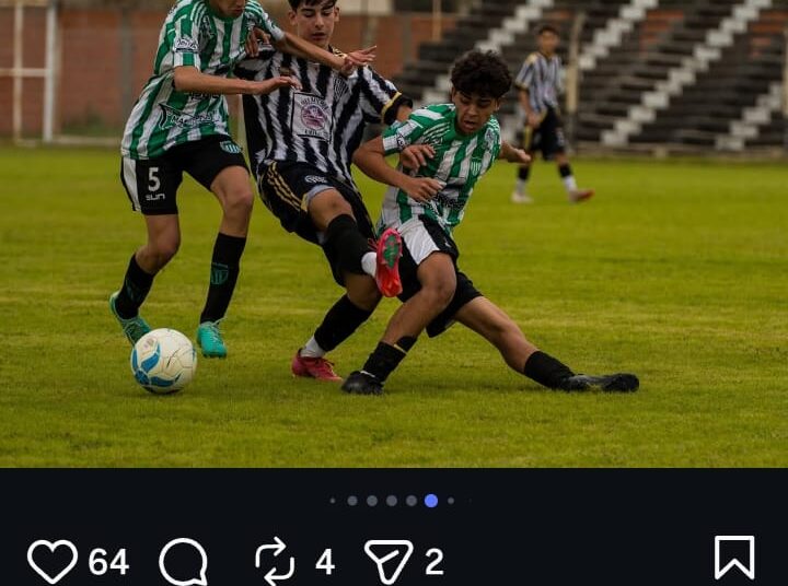 Gran actividad en inferiores: se disputó la Octava fecha con muchos goles