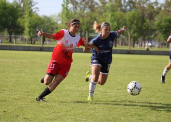 Tres representantes de la Liga Nicoleña dirán presente en el Regional Federal Amateur Femenino 2026